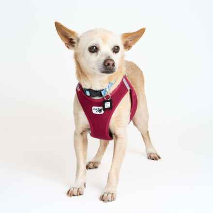 Brennan Lee Mulligan