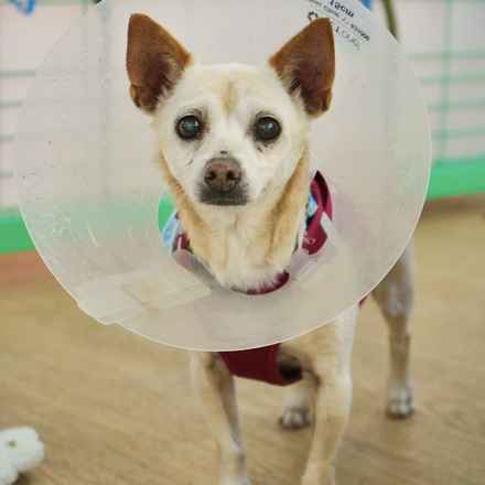 Brennan Lee Mulligan