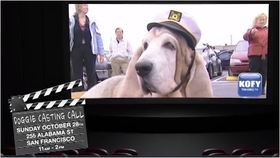KOFY TV Casting Call at Muttville!
