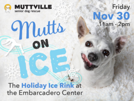Mutts on Ice
