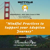 Mindful Practices to Support your Adoption Journey