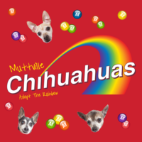 Adoption Event at Muttville HQ