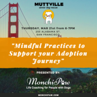 Mindful Practices to Support your Adoption Journey