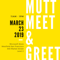 Mutts @ Microsoft
