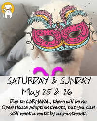 CLOSED DUE TO CARNAVAL - Open by appointment