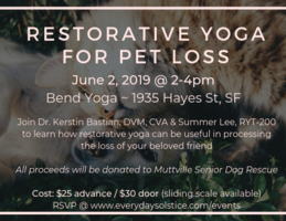 Restorative Yoga for Pet Loss