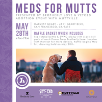 Meds for Mutts