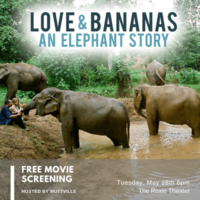 Love & Bananas Free Screening