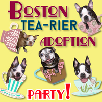 Boston Tea-rier Adoption Party!!