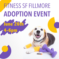 Muttville @ FITNESS SF