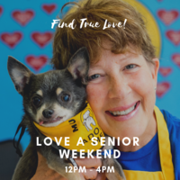 Adoption Event at Muttville HQ