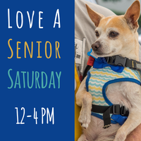 Adoption Event at Muttville HQ