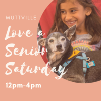 Adoption Event at Muttville HQ