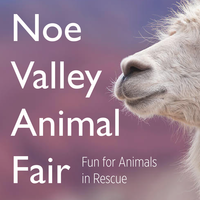 Noe Valley Animal Fair