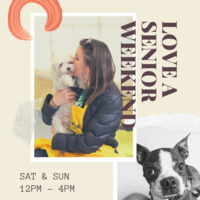 Adoption Event at Muttville HQ