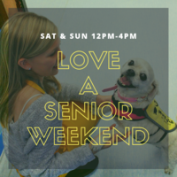Adoption Event at Muttville HQ