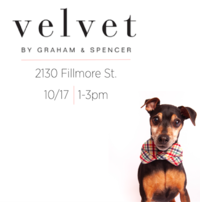Velvet by Graham & Spencer Shopping Day