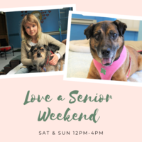 Adoption Event at Muttville HQ