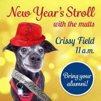 Crissy Field New Year Stroll!