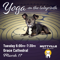 CANCELED: Yoga on the Labyrinth