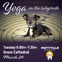 CANCELED: Yoga on the Labyrinth