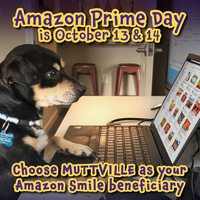 Amazon Prime Day!