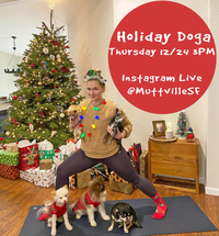 Holiday Yoga with Your Dog