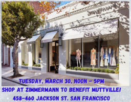 An intimate day at Zimmermann to benefit Muttville!