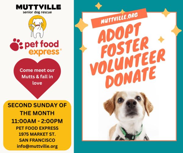 Adoption Event at Pet Food Express Muttville