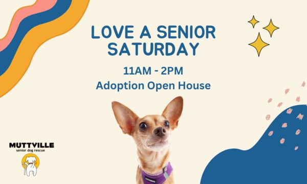 Adoption Event at Muttville HQ