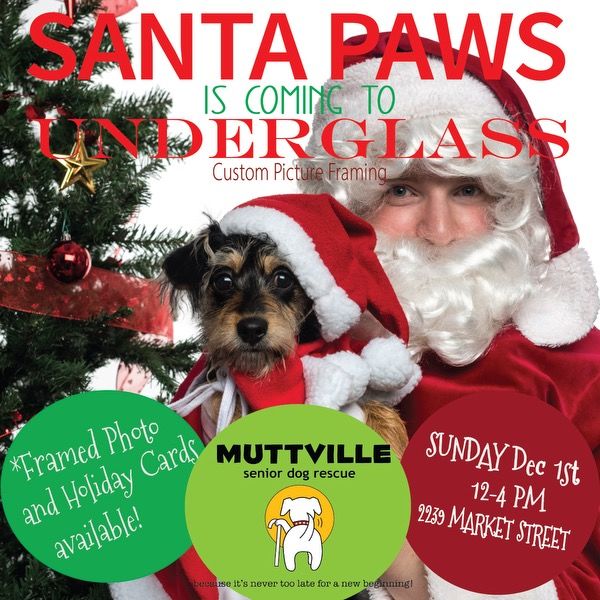 Santa Paws Photos at Underglass Custom Framing