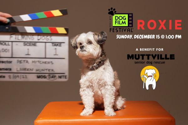 2024 NY Dog Film Festival