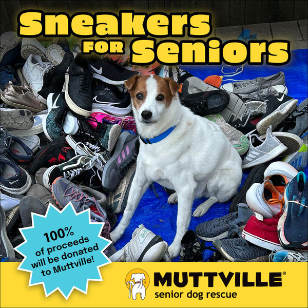 Donate Used Sneakers for Muttville