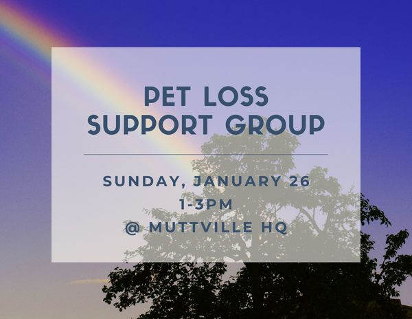 Pet Loss Support Group (in person)