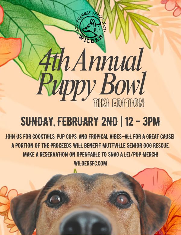 4th Annual Puppy Bowl