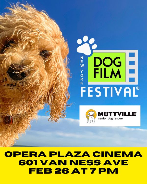 The NY Dog Film Festival Returns!