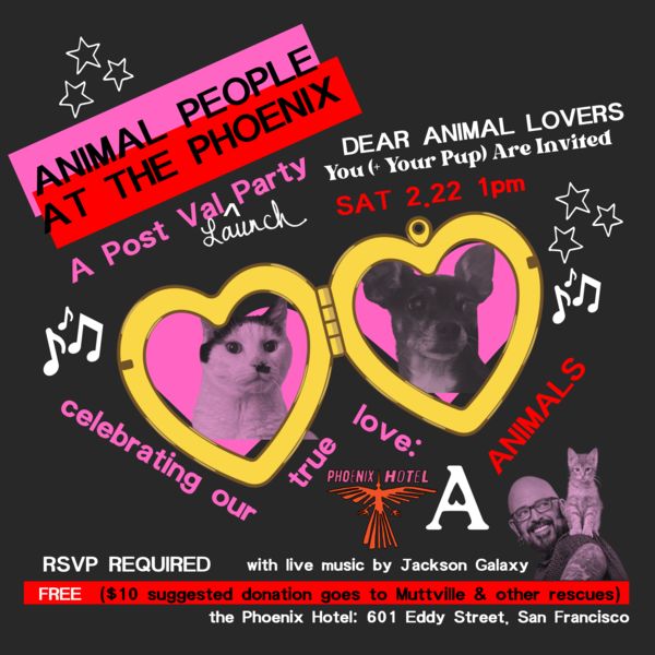 Animal People Launch Party