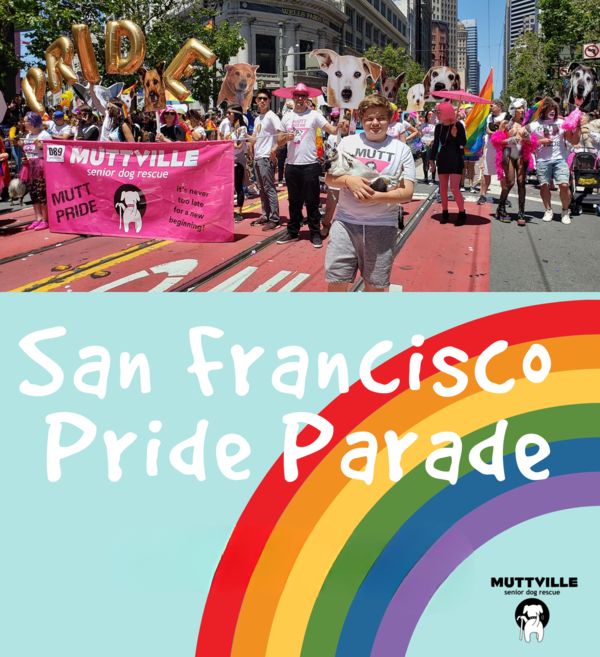 Mutt Pride at San Francisco Pride Parade 2025!