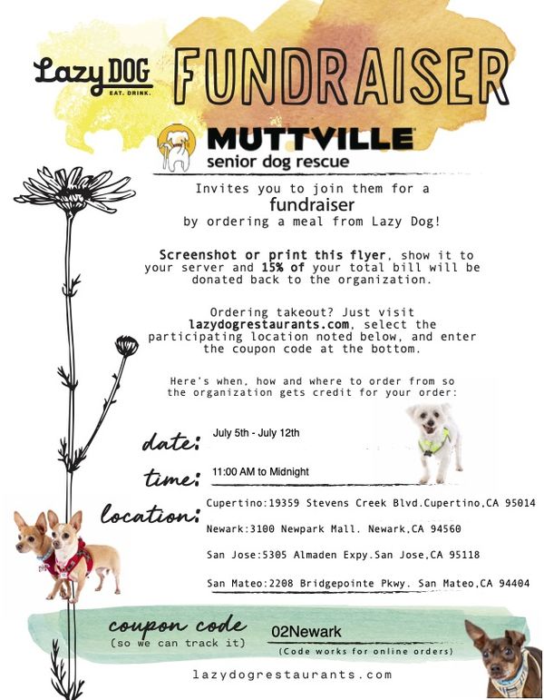 Lazy Dog Restaurants fundraiser for the Mutts