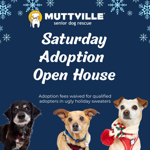 Adoption Event Muttville HQ