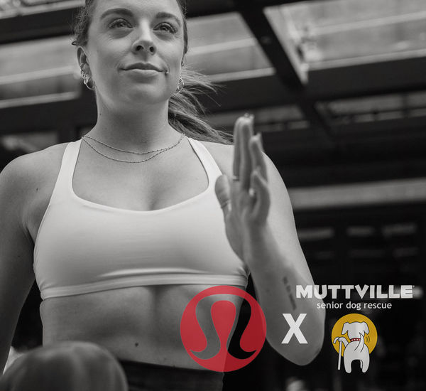 Sweat for the Mutts - Workout with Laura G!