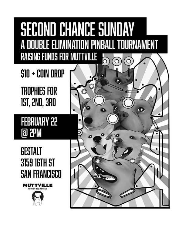 Pinball Tournament Fundraiser