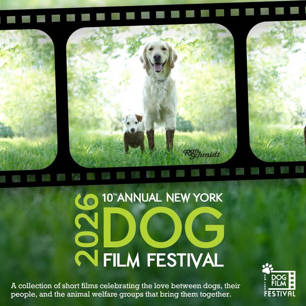 NY Dog Film Festival