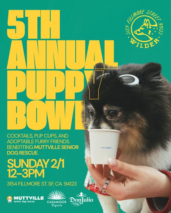 5th Annual Puppy Bowl