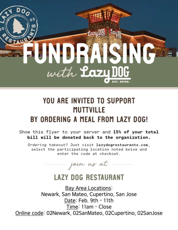 Lazy Dog Restaurants fundraiser for the Mutts