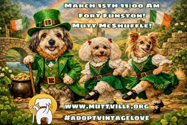 Monthly Community Stroll