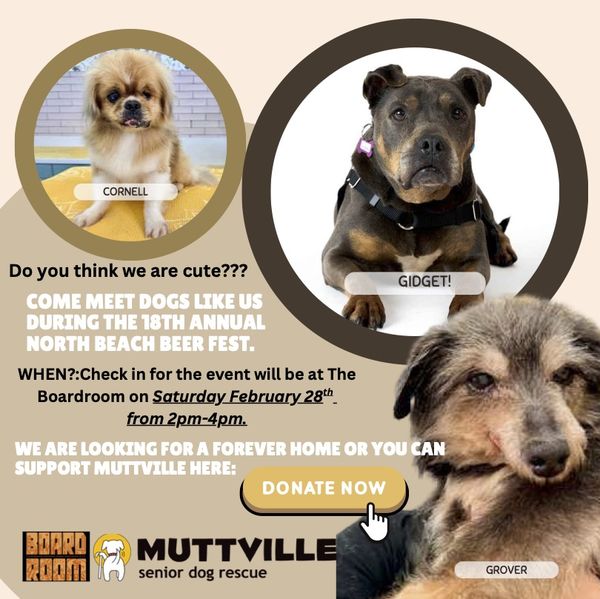 North Beach Beer Fest at The Boardroom