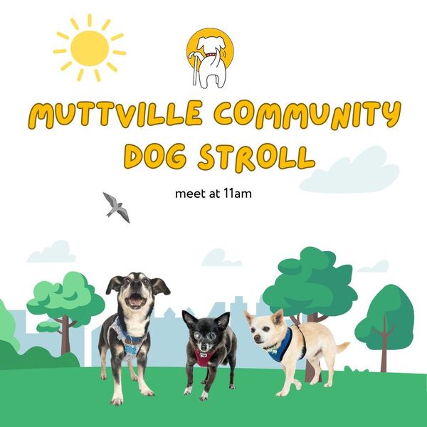 Spring Fling Mutt Meander